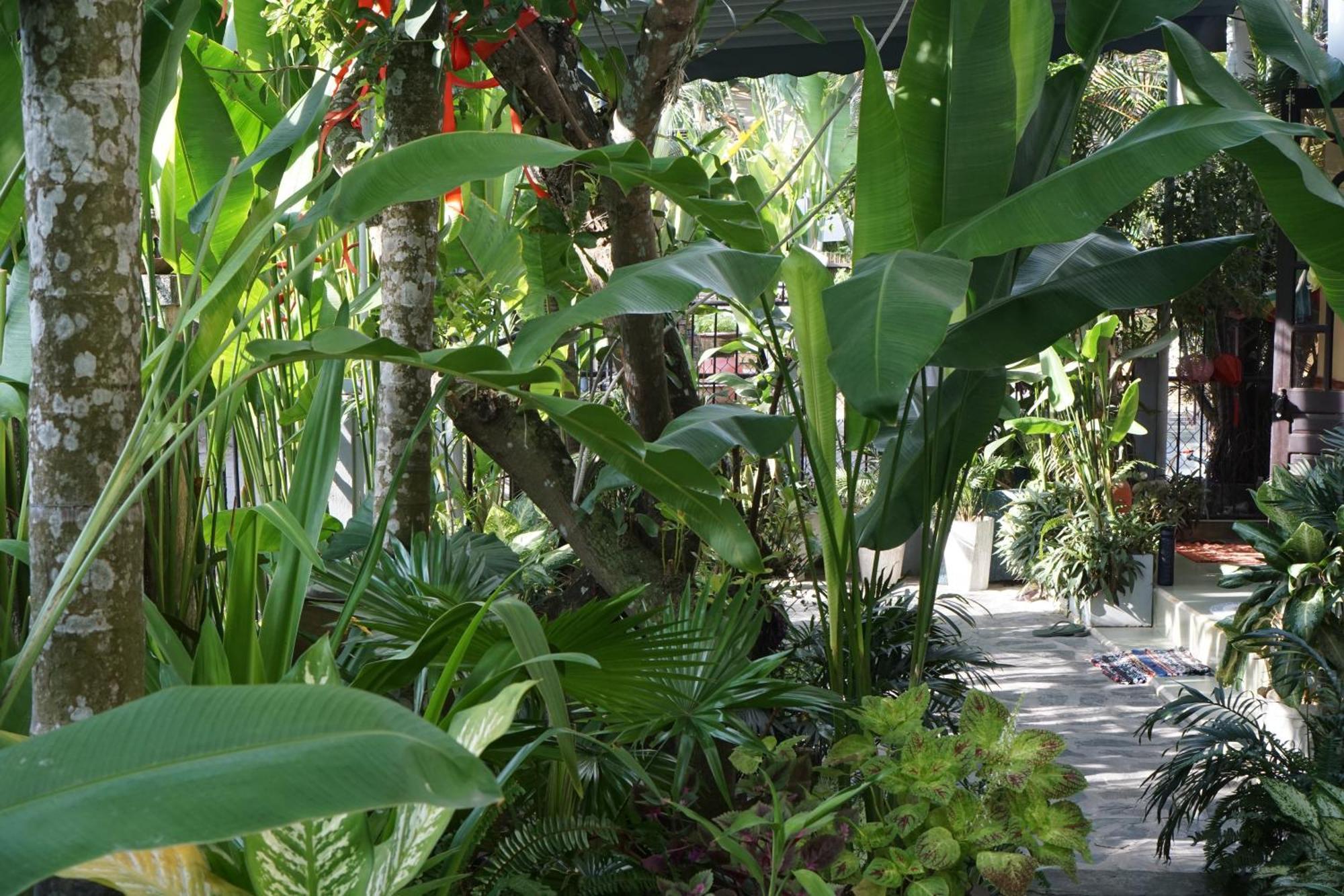 Hoi An Sunny Garden Leilighet Eksteriør bilde