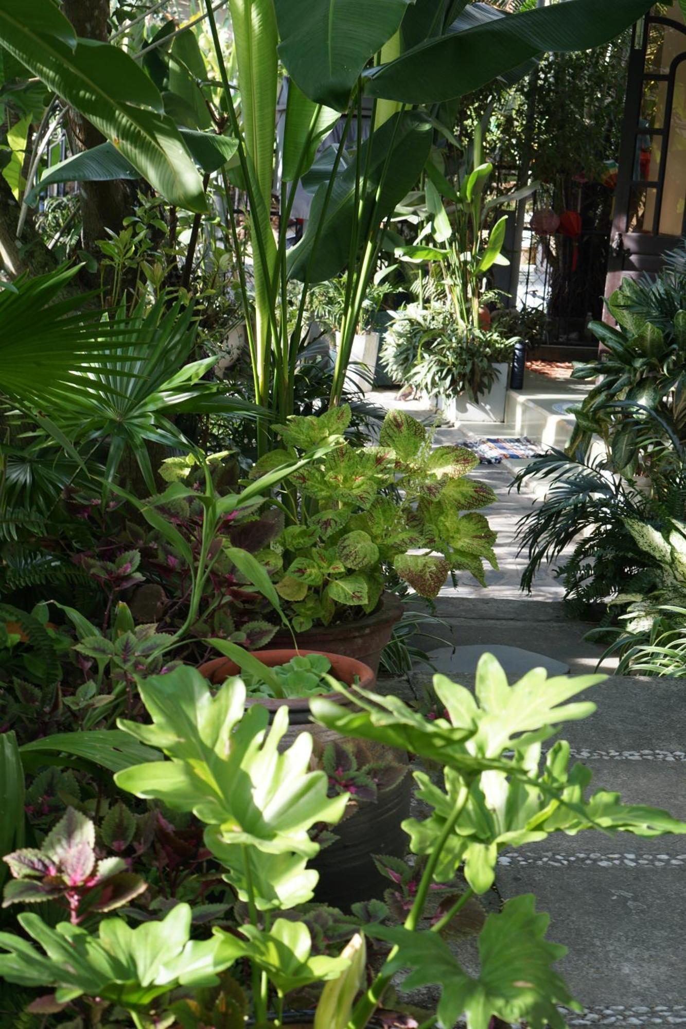 Hoi An Sunny Garden Leilighet Eksteriør bilde