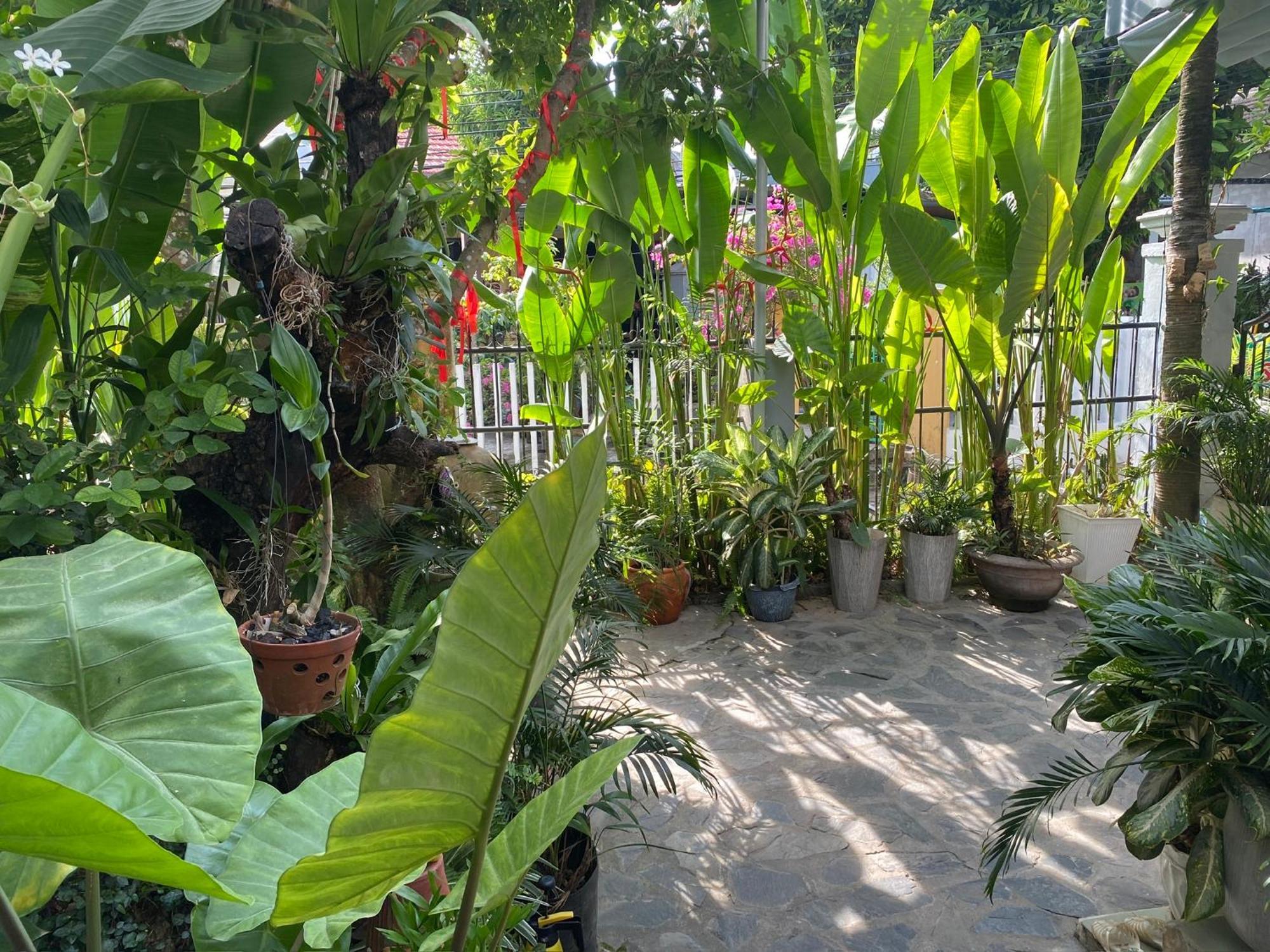 Hoi An Sunny Garden Leilighet Eksteriør bilde