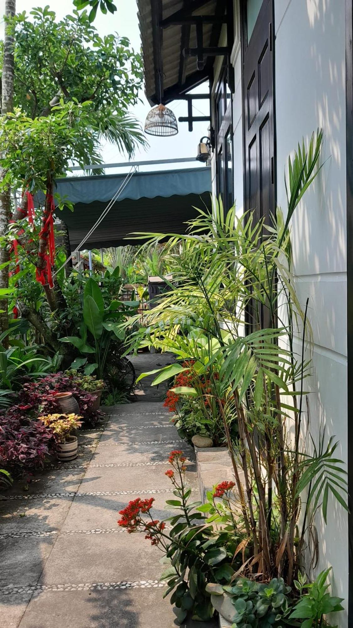 Hoi An Sunny Garden Leilighet Eksteriør bilde